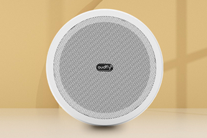 Audfly ȳ W(xu)R2Zvϵy(tng)